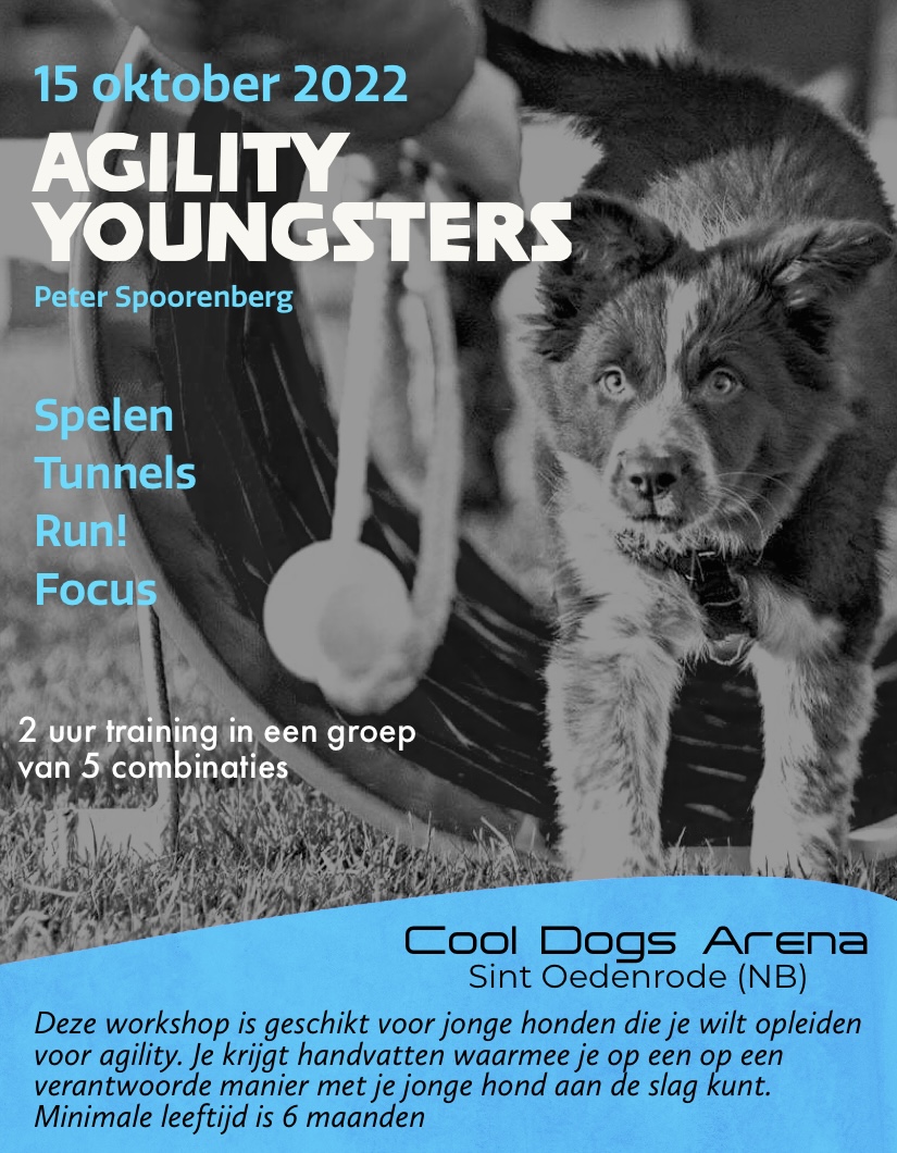AGILITY YOUNGSTERS 